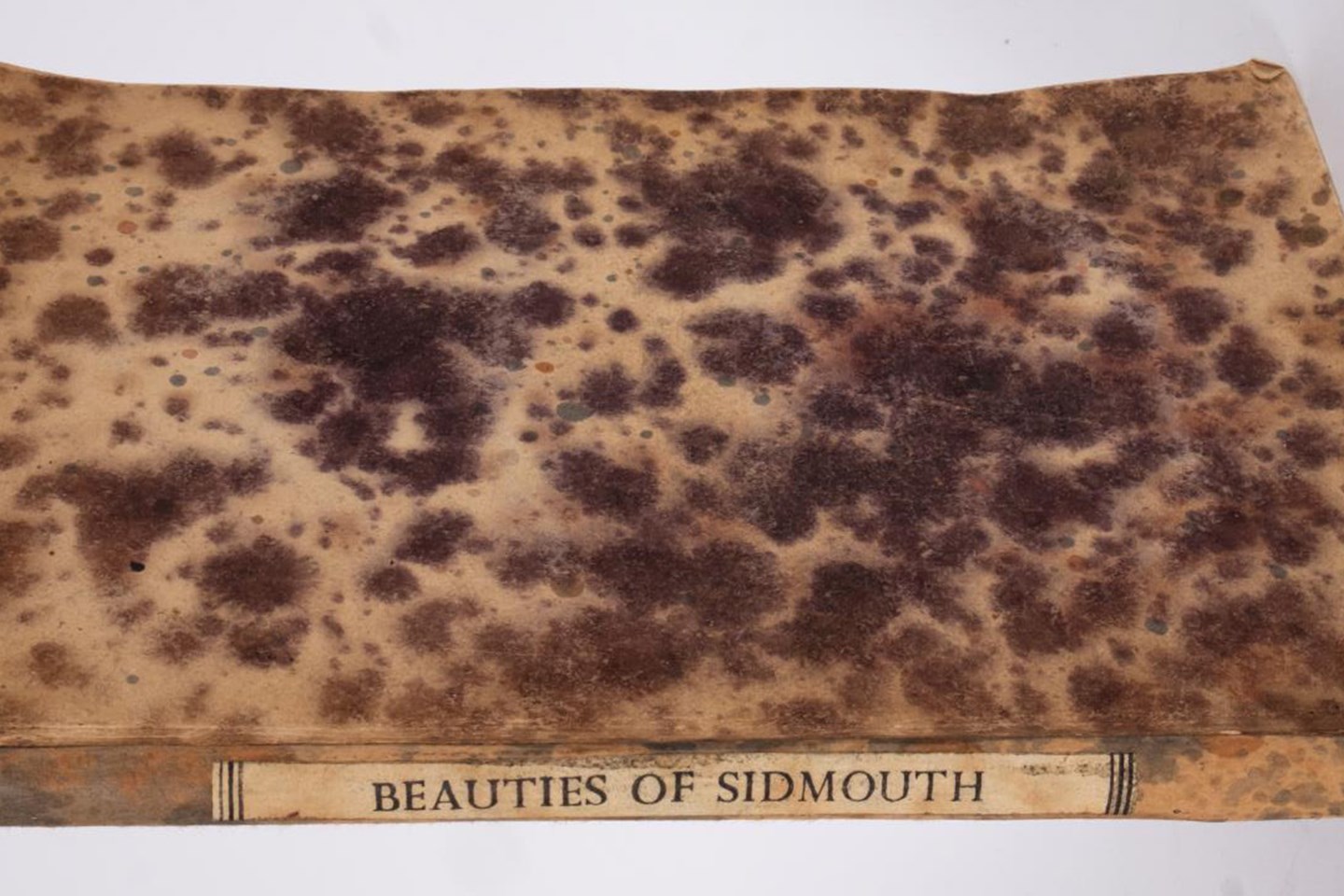 227 1 Sidmouth Scenery Or Views Of The Principal Cottages And Residences Of The Nobility And Gentry (1)